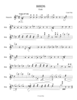 Birds for mandolin solo