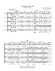 Cello Concerto In E Minor - Adagio