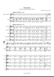Chaconne - Recorder Alto Solo, Harpsichord and Strings