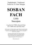 Sosban Fach