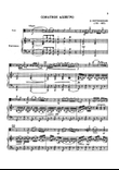 Sonata Allegro
