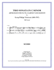 Telemann Trio Sonata in C Minor, TWV 42:c5 arranged for Flute, Clarinet and Bassoon