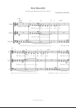 How Beautiful (Is the Love Between the Two of Us) - Strings trio