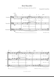 How Beautiful (Is the Love Between the Two of Us) - Cello trio