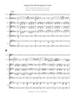 Adagio: Due Soli Strumenti a Corda