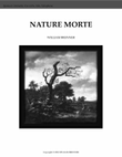 Nature Morte