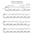 Nabucco (Va Pensiero) - Accordion