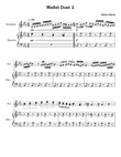 Mallet Duet 1