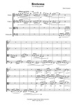 BRETEMA (String Quartet)