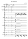 The Lonely Shepherd (Der Einsame Hirte) mini preview