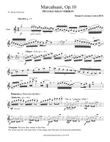 Marcahuasi, Op.10 for solo flute (Piccolo version)