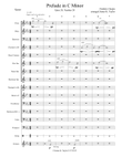 Prelude Opus 28, #20