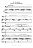 Awakenings - Rhapsody for Cello and Piano