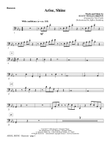 Arise, Shine (arr. Tom Fettke) - Bassoon
