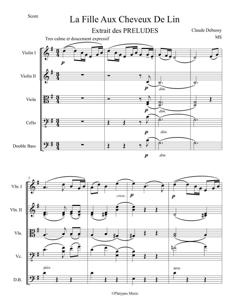 The Girl With Flaxen Hair (pd) String Quintet scores gallery preview page 1