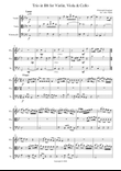 String Trio in Bb