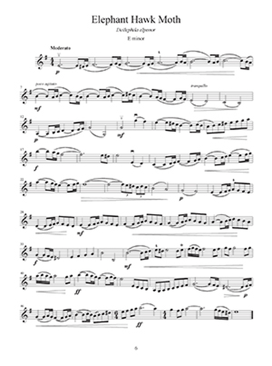 Violin Scale Tales Violin Solo scores gallery preview page 2