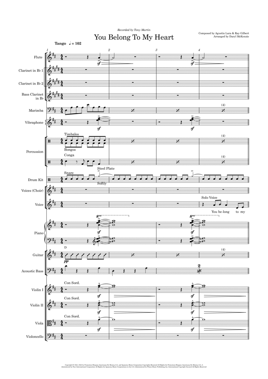 You Belong To My Heart (solamente Una Vez) Chamber Orchestra scores gallery preview page 1