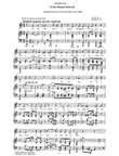 An die ferne Geliebte (To the Distant Beloved) English Version