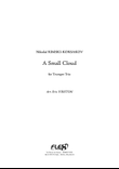 A Small Cloud