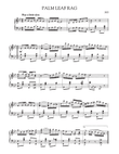 Palm Leaf Rag mini preview