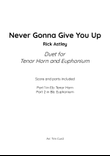 Never Gonna Give You Up