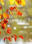 SEPTEMBER