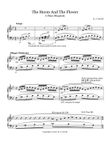 The Storm and the Flower A Piano Rhapsody