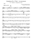 Symphony No. 5 'Fate' - 1st Movement