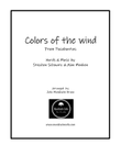 Colors Of The Wind