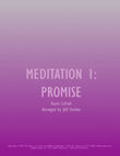 Meditation 1: Promise mini preview