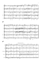 Mozart: Divertimento No.12 in Eb K252 - wind quintet Woodwind Quintet scores gallery preview page 4