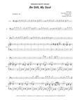 Be Still, My Soul (Cello solo and Piano)