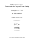 Dance Of The Sugar Plum Fairy