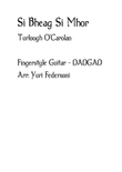 Si Bheag Si Mhor (Turlough O'Carolan) - Fingerstyle Guitar TAB (DADGAD)