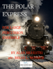 The Polar Express