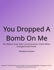 You Dropped A Bomb On Me