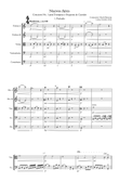 Concierto No1 para Trompeta y Orquesta de Cuerdas