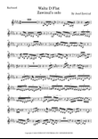 Waltz D Flat