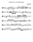 Partita for Viola