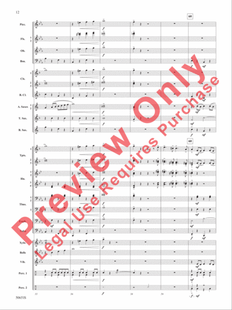 The Wild One! The Wild One! Concert Band scores gallery preview page 13