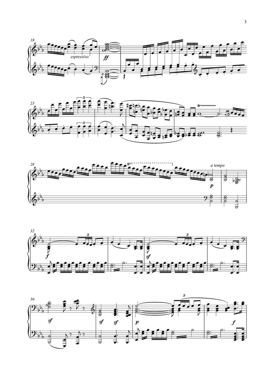 Beethoven Piano Concerto No. 5 Op. 73 
