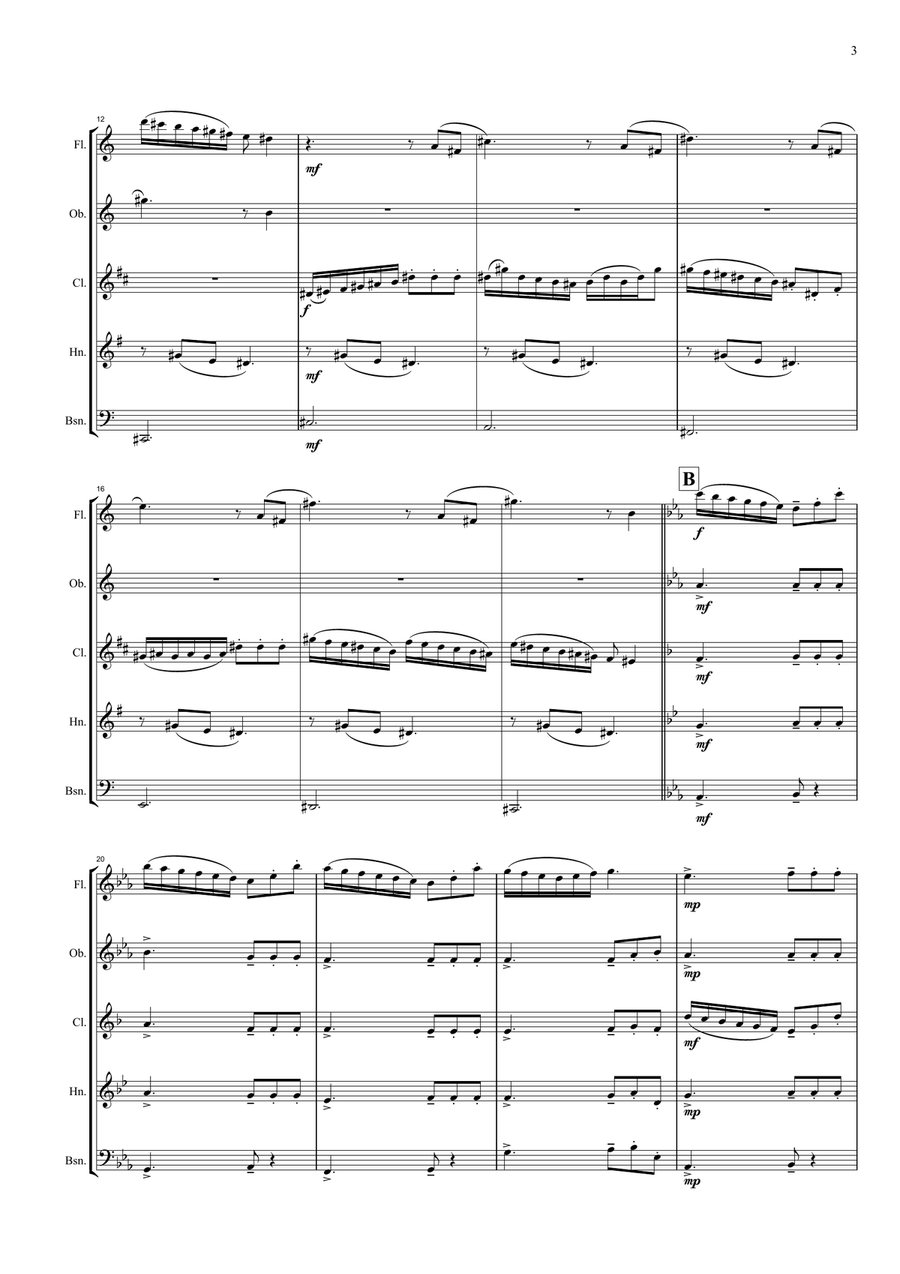 Hidden life Woodwind Quintet scores gallery preview page 3