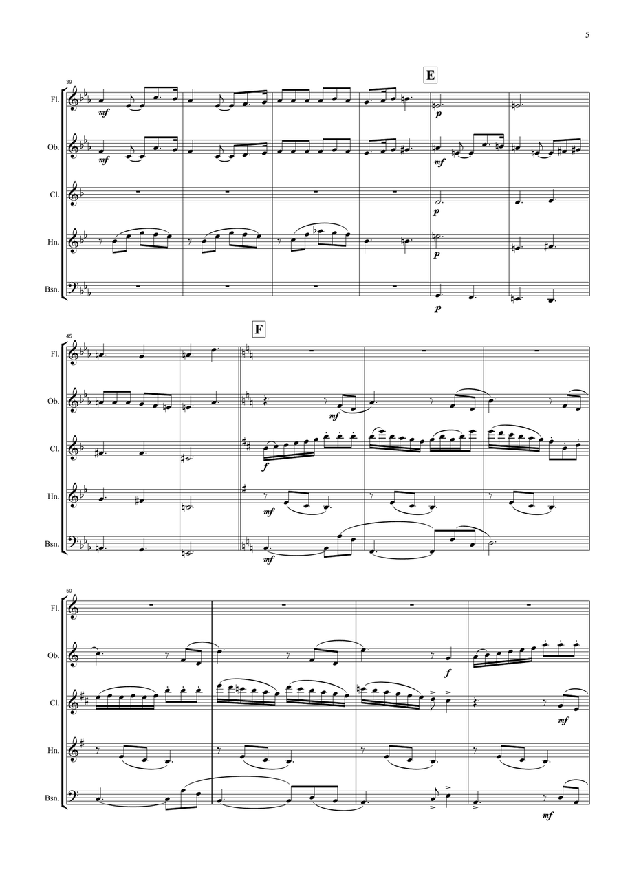 Hidden life Woodwind Quintet scores gallery preview page 5