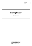 Soaring the Sky