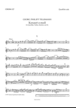 Concerto E minor
