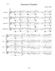 Sonorous Chamber