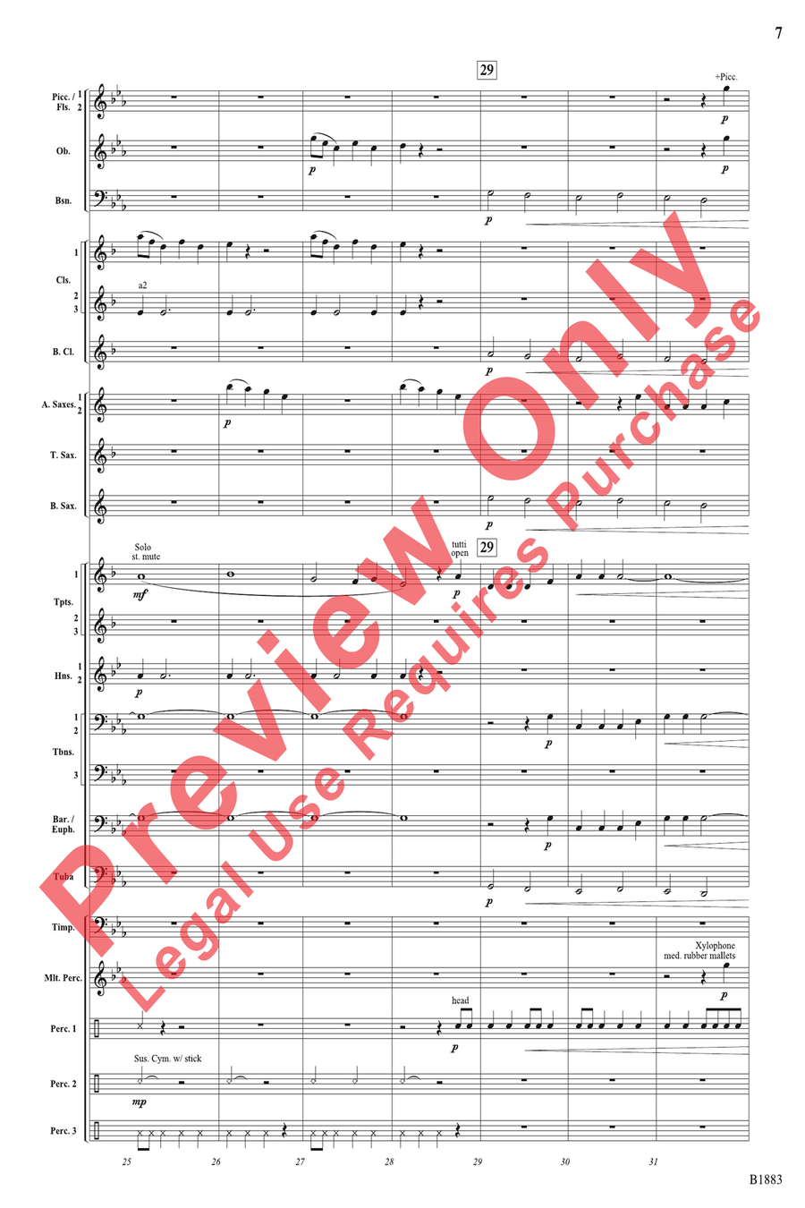 The Wellerman Come The Wellerman Come Concert Band scores gallery preview page 7