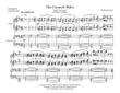 The Carousel Waltz