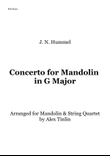 Concerto for Mandolin G major
